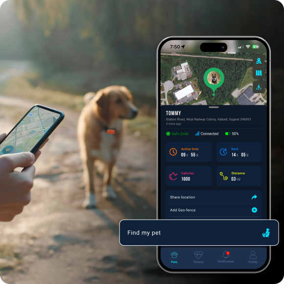 find-my-pet