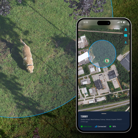 Safe zone feature