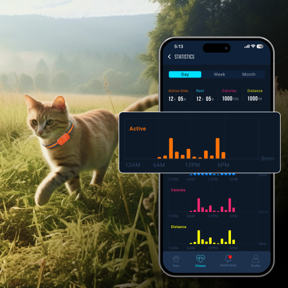 Activity tracking