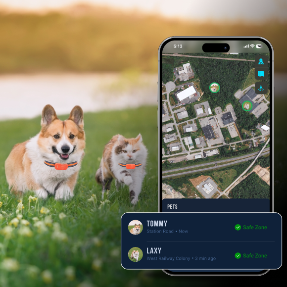 Activity tracking