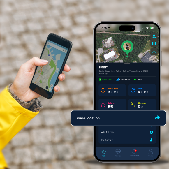 Activity tracking