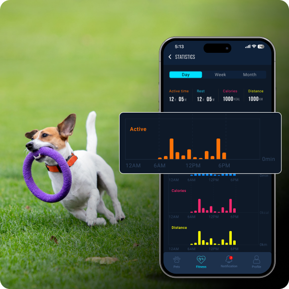 pet-activity
