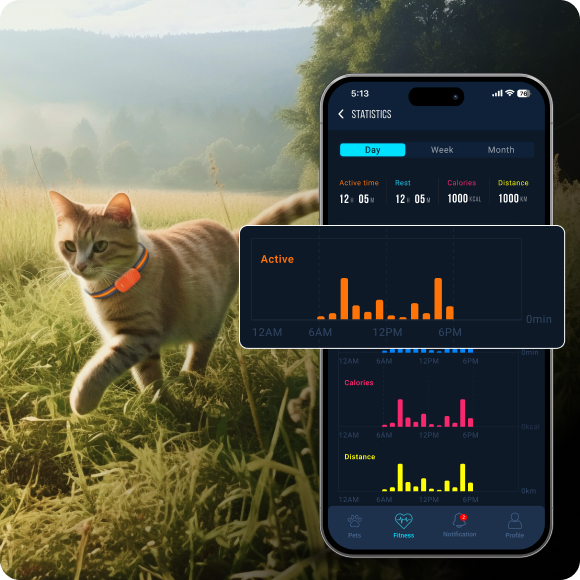 pet_activity