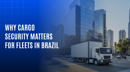 fleet in Brazil