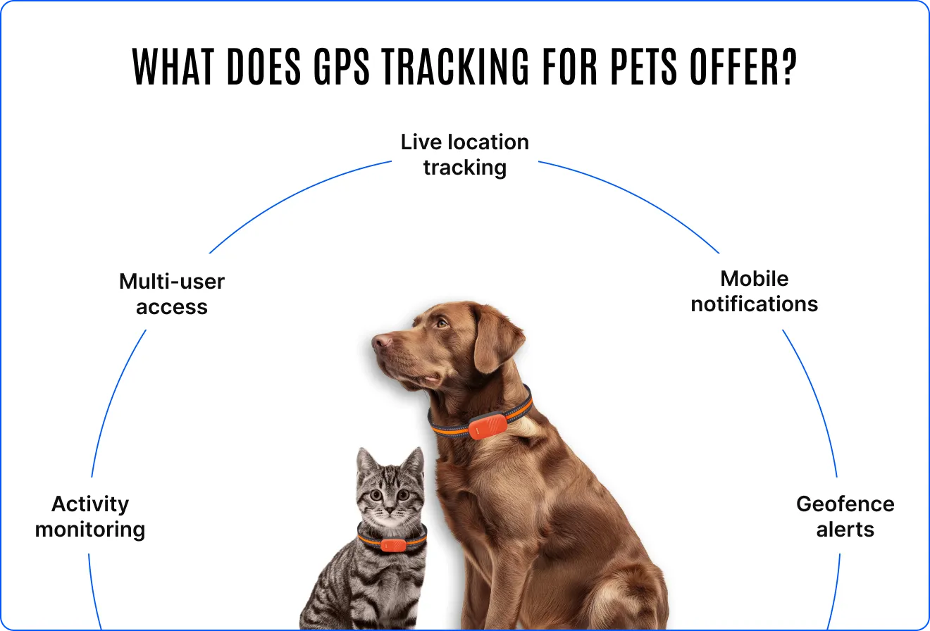 GPS tracking for pets