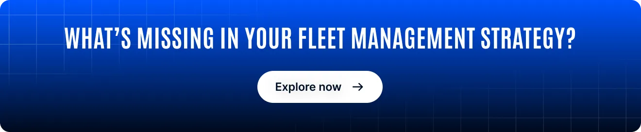 video monitoring in Italy